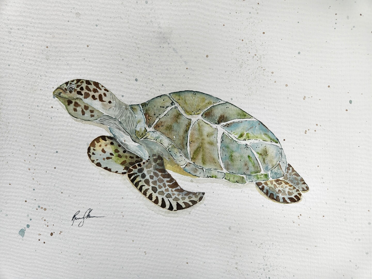 Sea Turtle Watercolor Print, Sea Life Art, Coastal Living Room Wall Decor,  Beach House Art, Under the Sea Art, Ocean Art