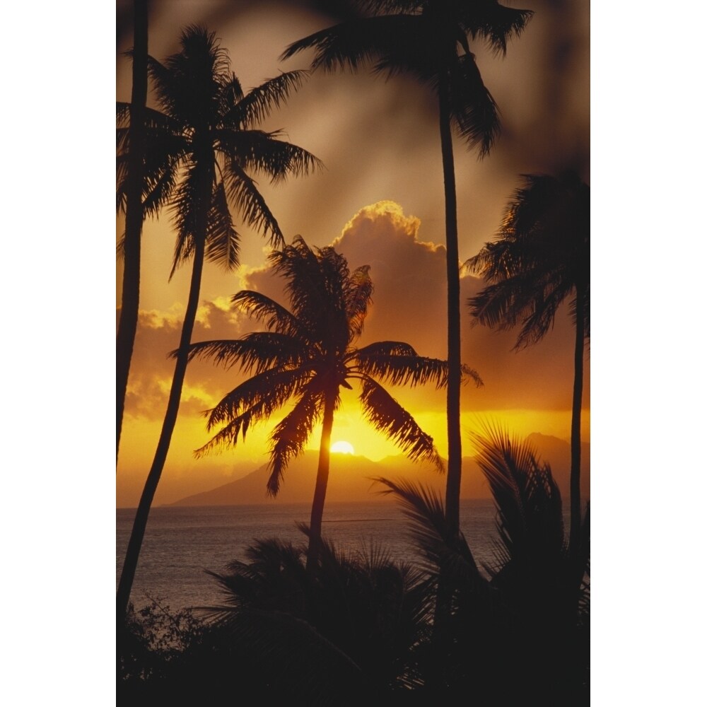 French Polynesia Tahiti Palm Trees Silhouetted By A Vibrant Sunset. Poster Print