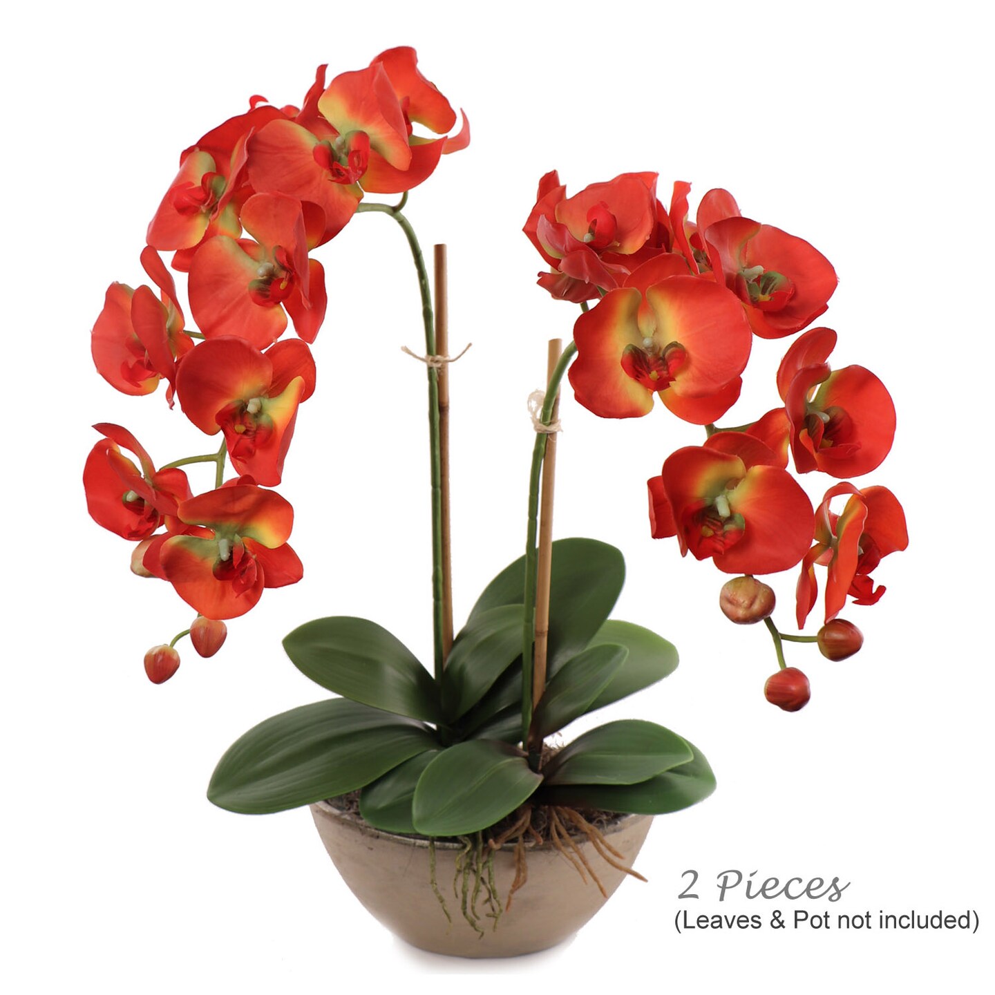 Real Touch Phalaenopsis Orchid Stem: Set of 2, 33.5-Inch, Floral Home by Artificial Flowers