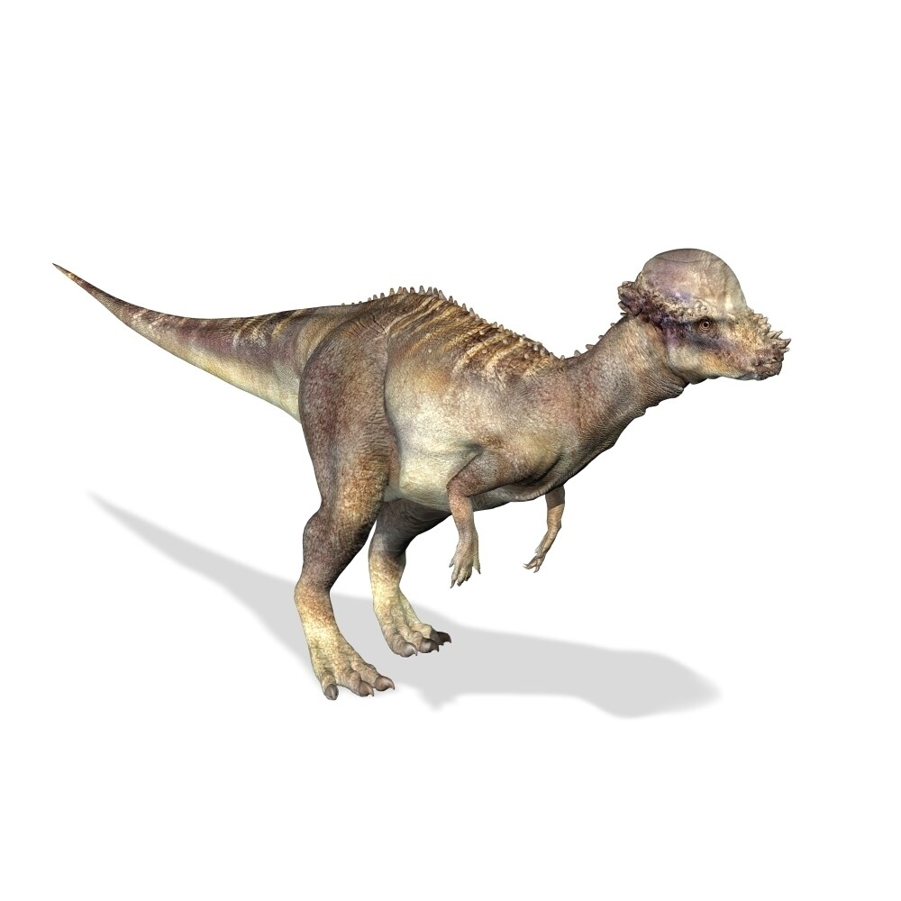 3D Rendering Of A Pachycephalosaurus Dinosaur Poster Print