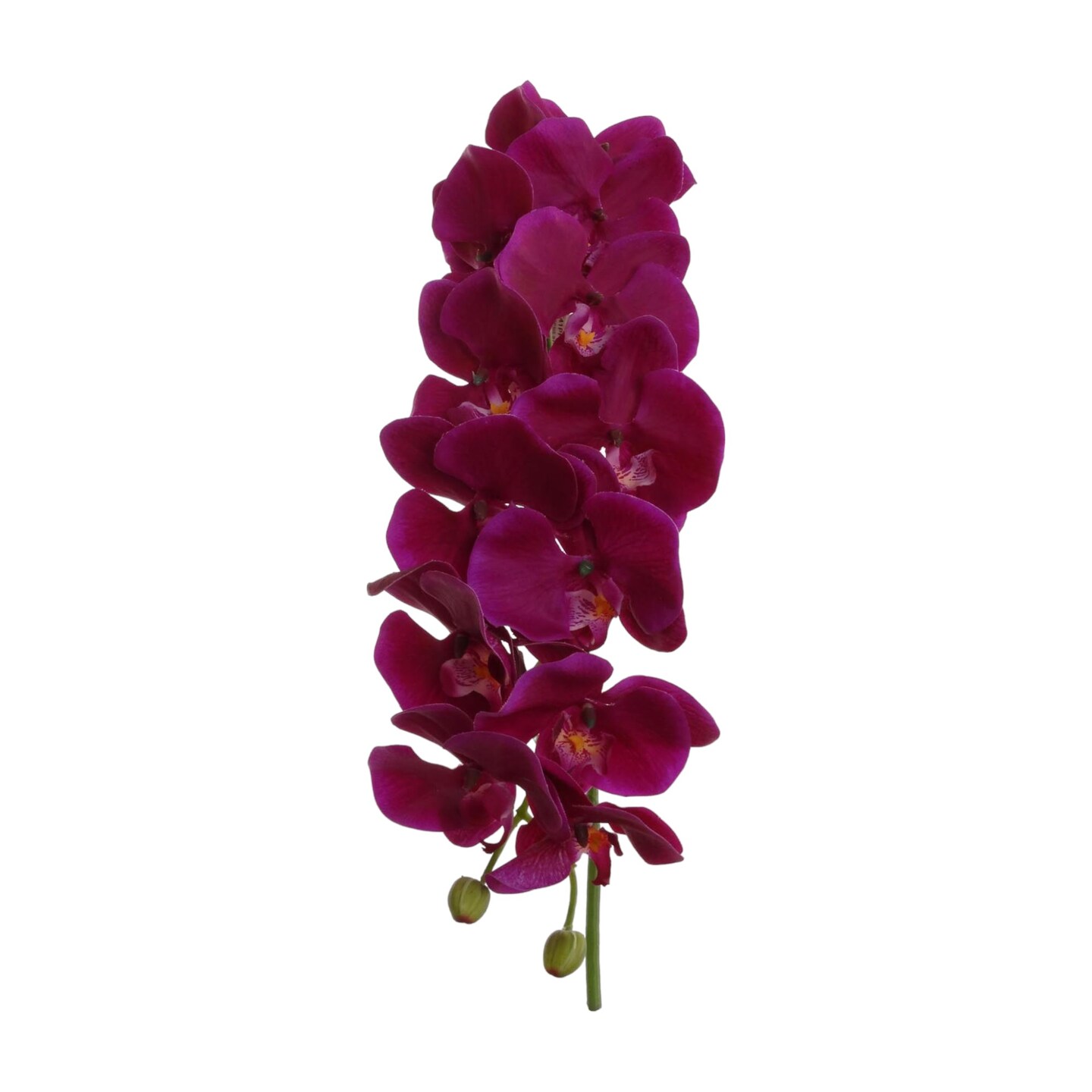 Massive Real Touch Purple Phalaenopsis Orchid Stem by Floral Home&#xAE;