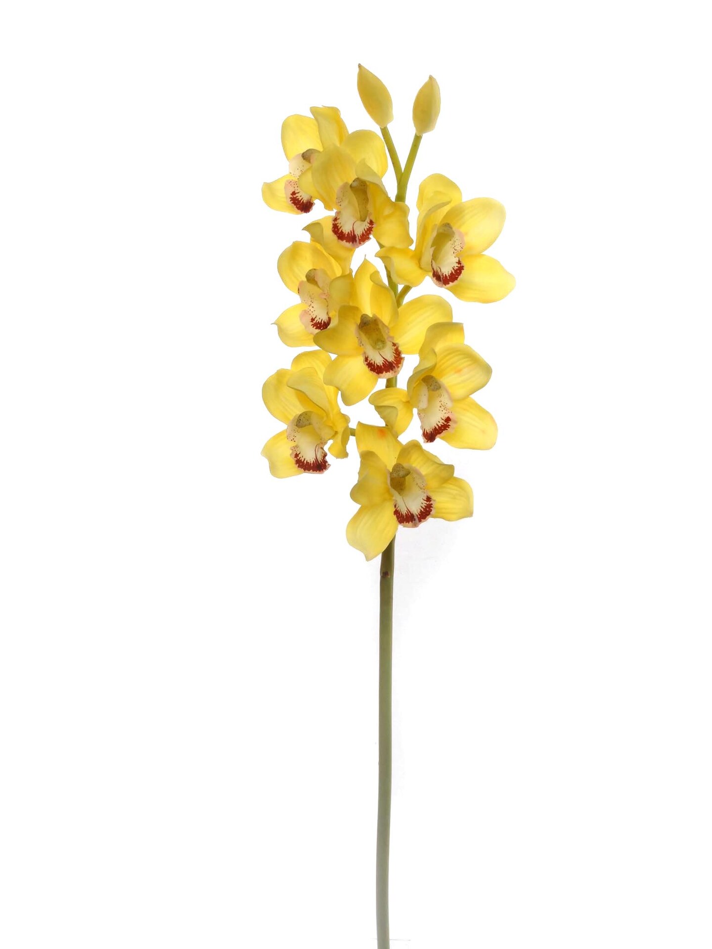 Sunny Yellow Cymbidium Orchid Stem: Set of 12, 30-Inch by Floral Home&#xAE;