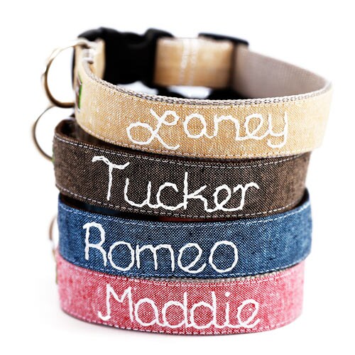 Name fashion embroidered dog collars