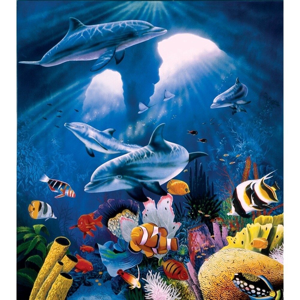 Dolphin Paradise Poster Print By Graeme Stevenson