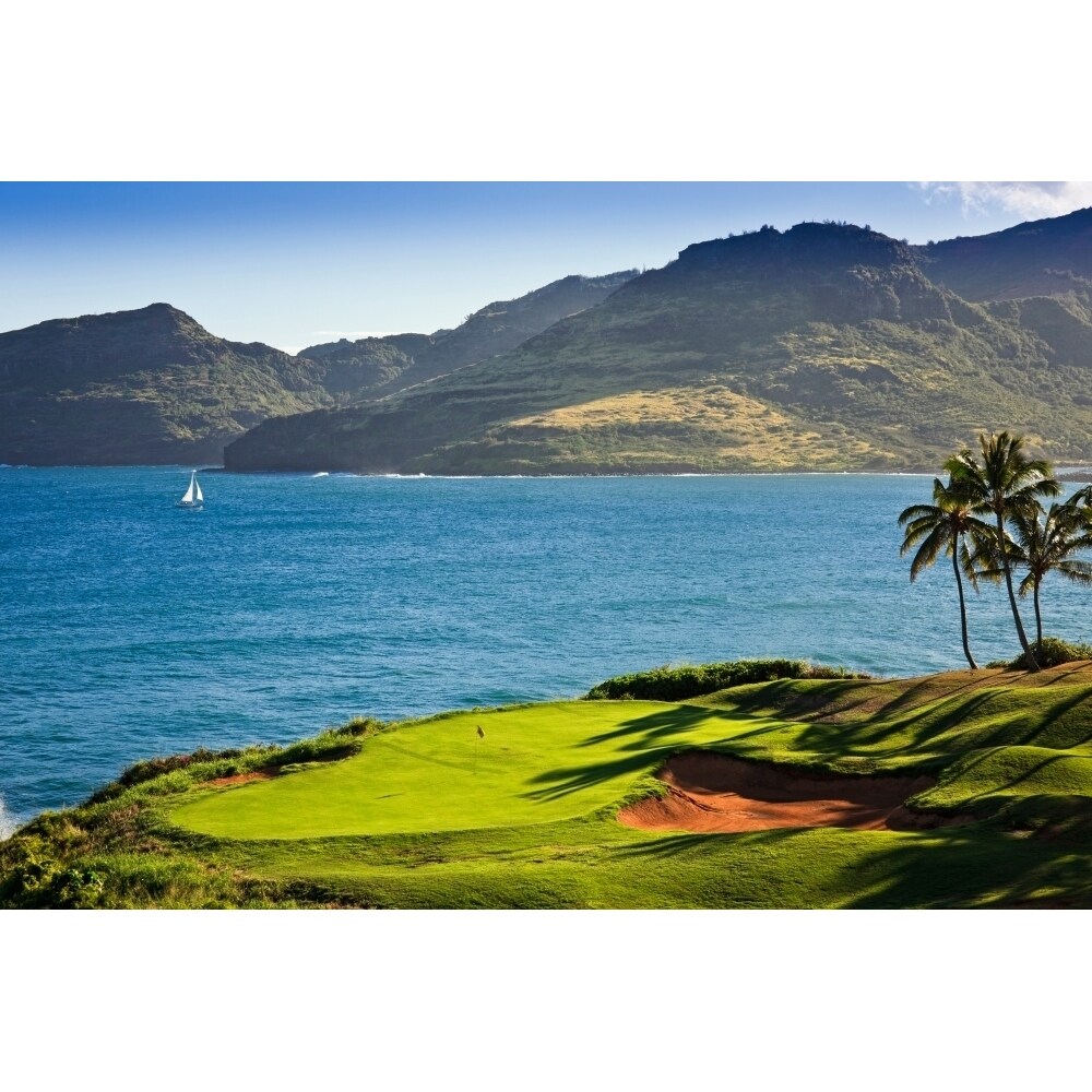 Palm Trees In A Golf Course Kauai Lagoons Kauai Hawaii Usa Poster Print
