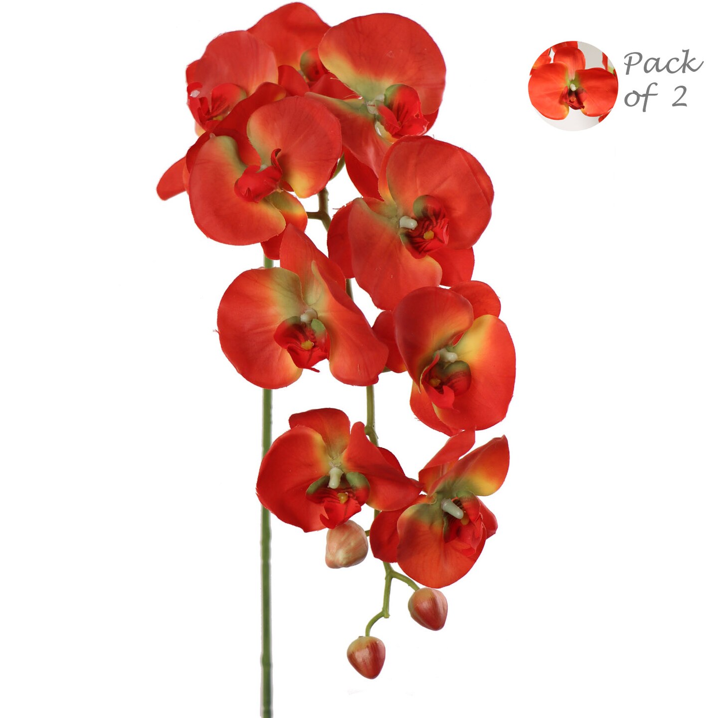 2-Pack: Real Touch Phalaenopsis Orchid Stem with 9 Flowers by Floral Home&#xAE;