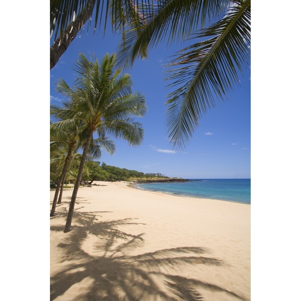 Hawaii Lanai Hulopoe Beach Palm Trees And Shadows Along Sandy Beach And Turquoise Ocean. Poster Print