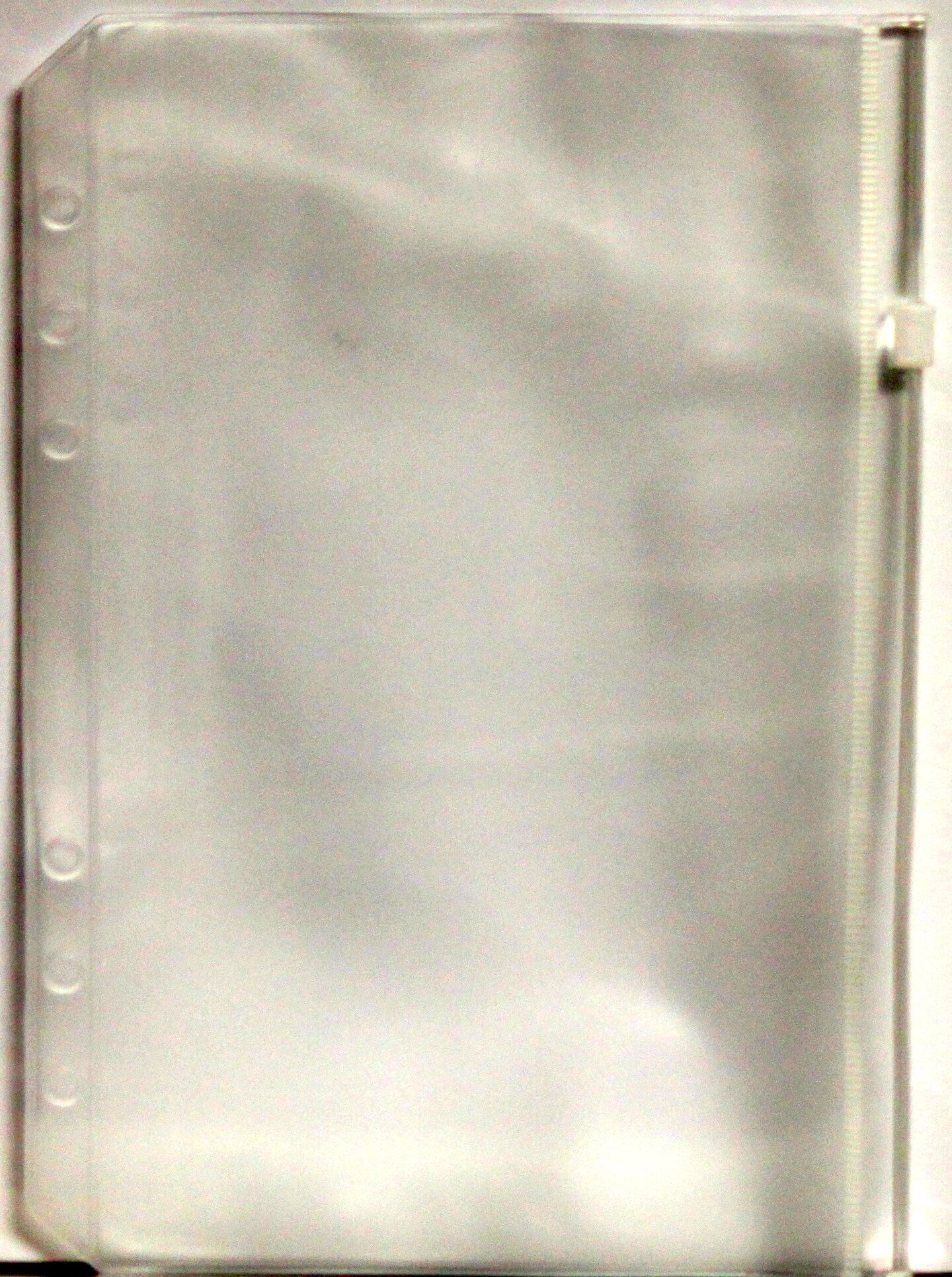 Vinyl Planner Zip Pouch-Clear