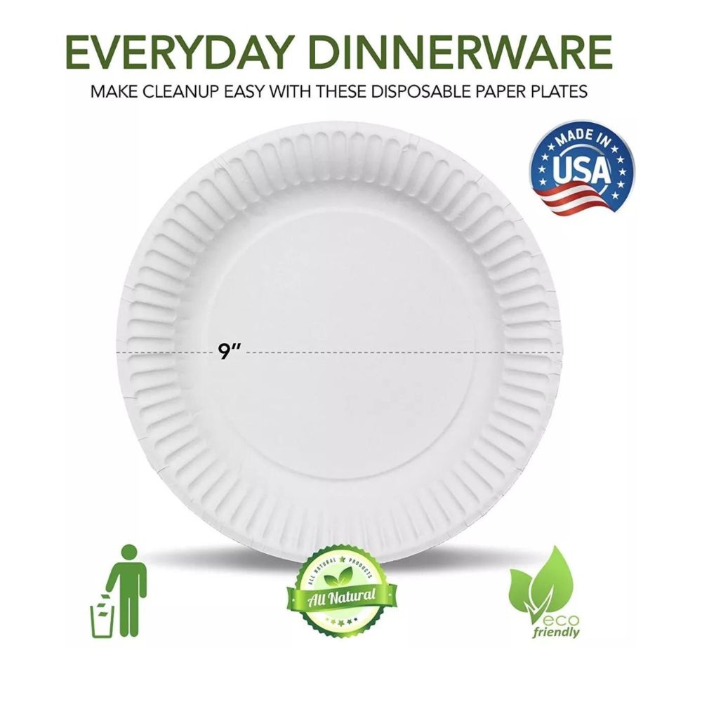100 Pack 9-Inch Disposable Paper Plates: Everyday Party Essentials