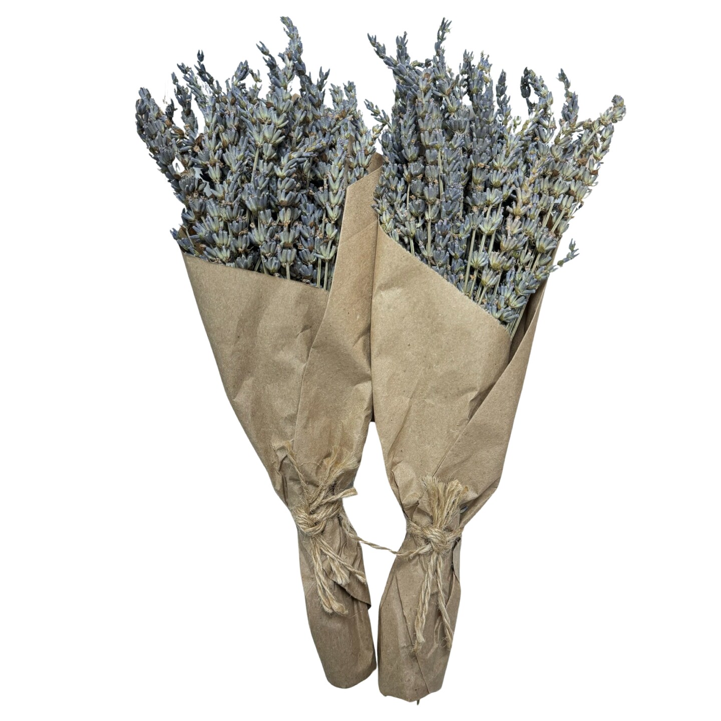 12&#x22; Dried Lavender Bouquet, Set of 2