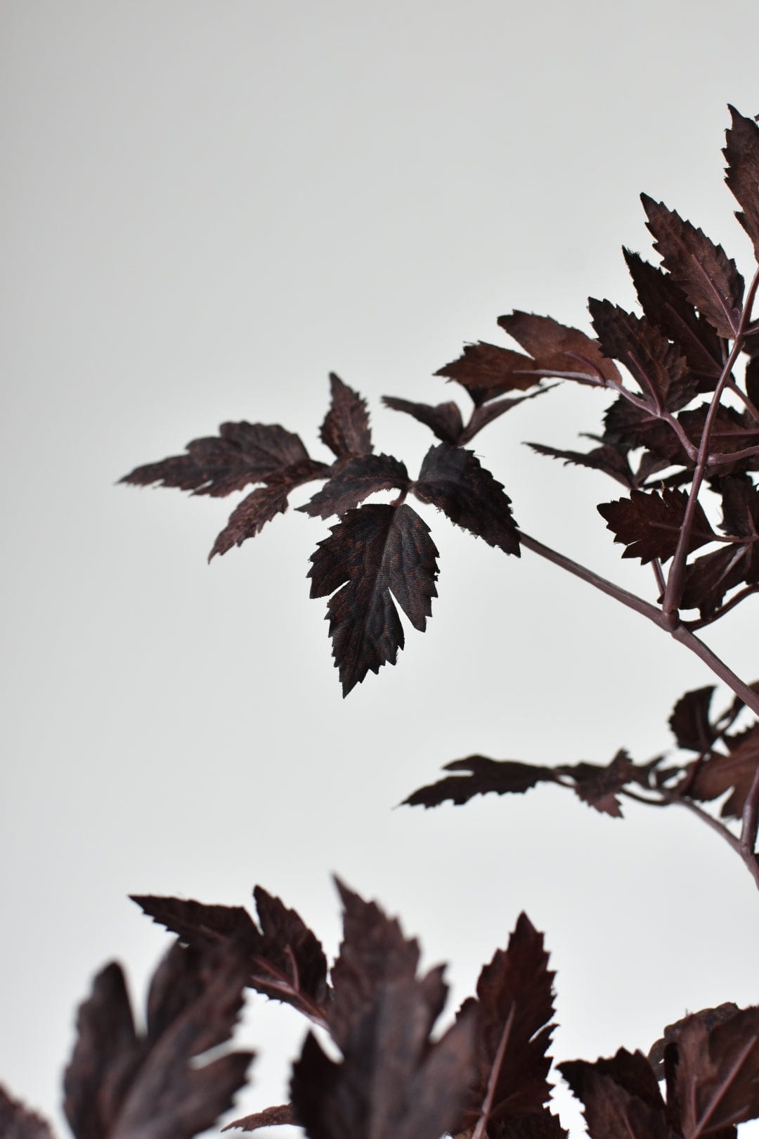 31&#x22; Faux Cimicifunga Ramosa Stem: Plum