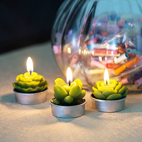 12 Pieces Cactus Tealight Candles,Handmade Delicate Succulent Cactus Candles for Party Wedding Spa Home Decoration Gifts