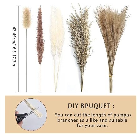 Dried Pampas Grass D&#xE9;cor, White Pompous Grass, Bunny Tails Dried Flowers Reed Grass, 17 inch Pompass Grass for Flower Arrangements Home D&#xE9;cor for a Boho Wedding
