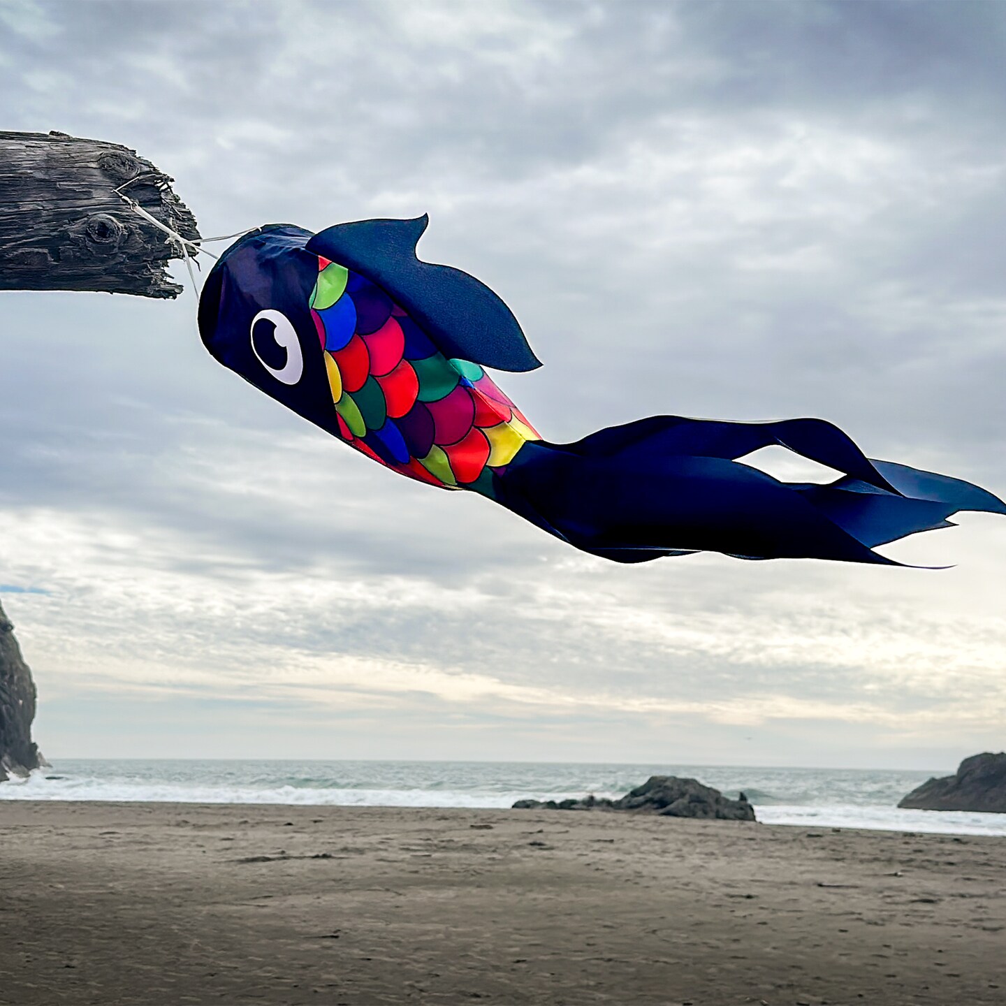 In the Breeze 5225 — 30-inch Black & Rainbow Damsel Fish — Colorful Fishsock Hanging Garden Decor with Detailed Printed Graphics