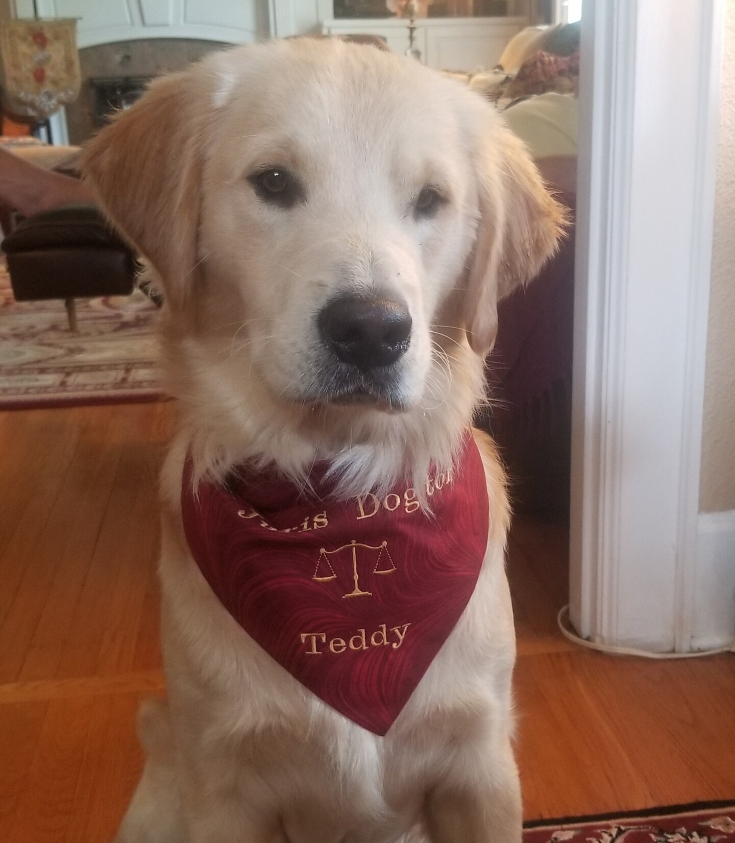 Embroidered 2024 dog bandana