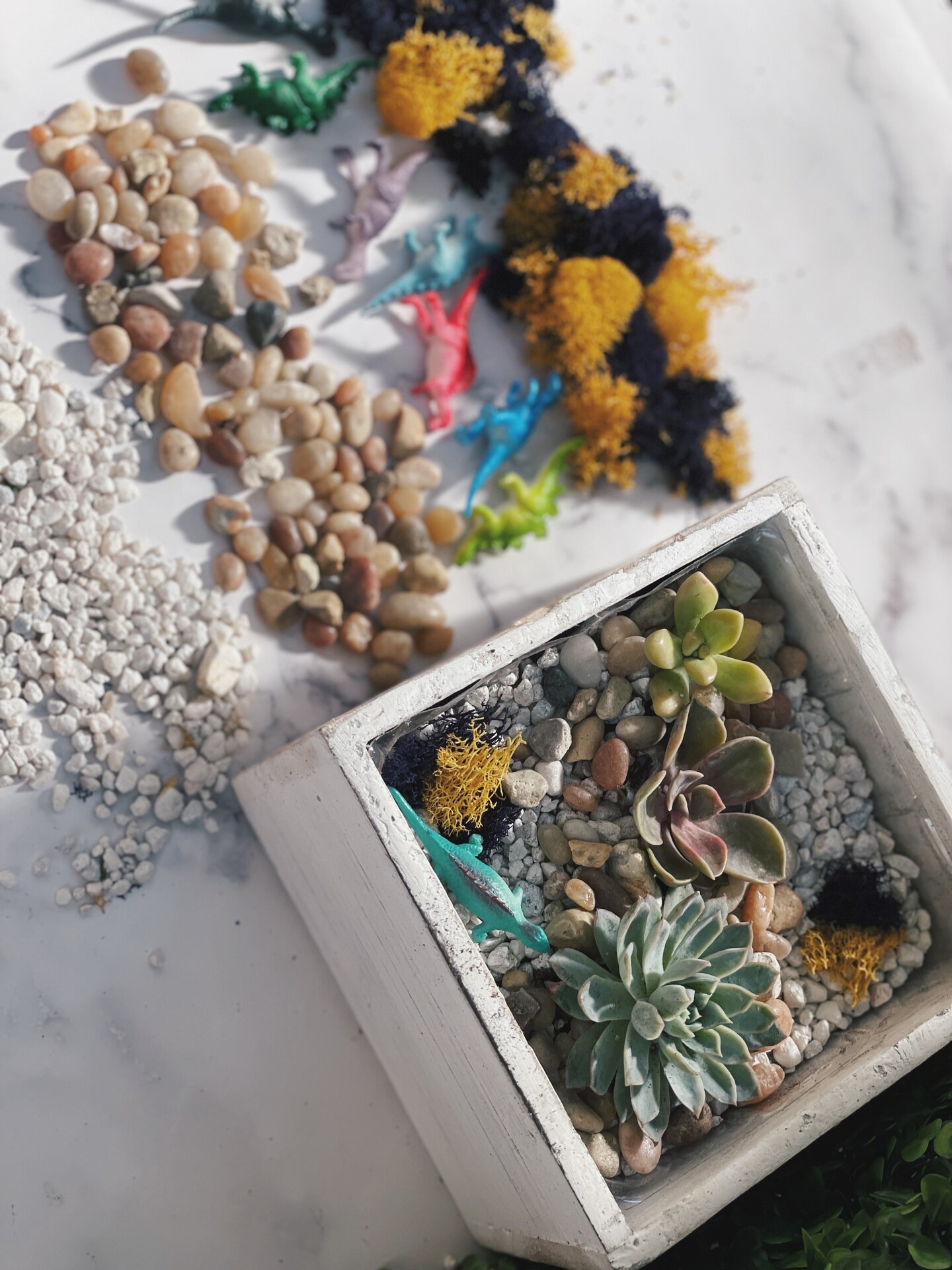 DIY Wooden Succulent Terrarium Kit | MakerPlace by Michaels