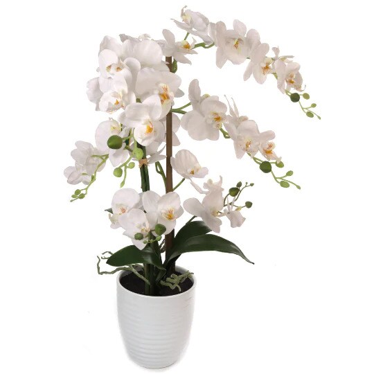 22-Inch Phalaenopsis Orchid Arrangement in Elegant Floral D&#xE9;cor for Home and Office, Floral Home by Artificial Flowers
