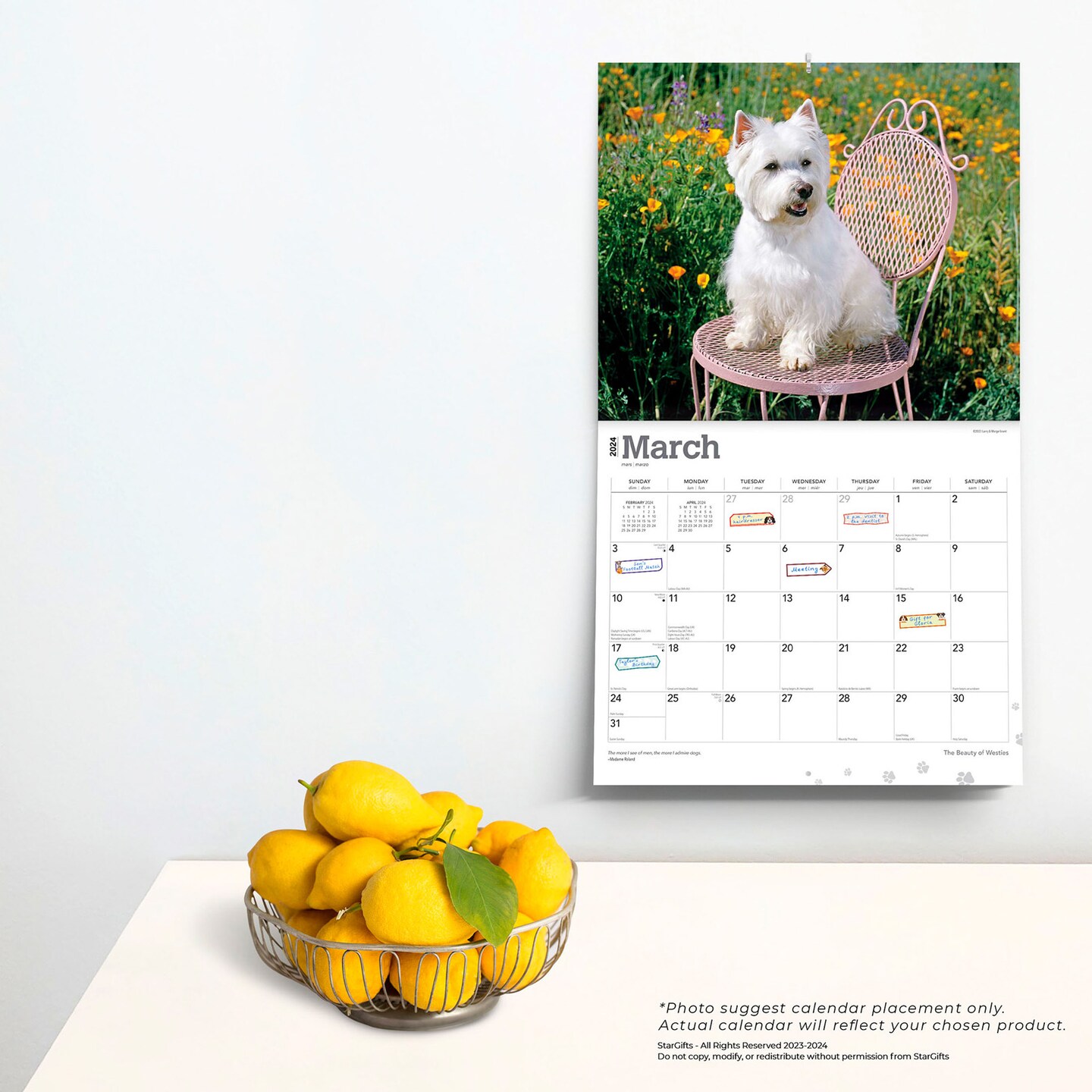 The Beauty of West Highland White Terriers | 2024 14 x 24 Inch Monthly Deluxe Wall Calendar | Sticker Sheet | StarGifts | Animal Dog Breeds
