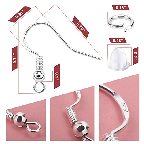 WEWAYSMILE 100 Pcs Earring Hooks for Jewelry Making