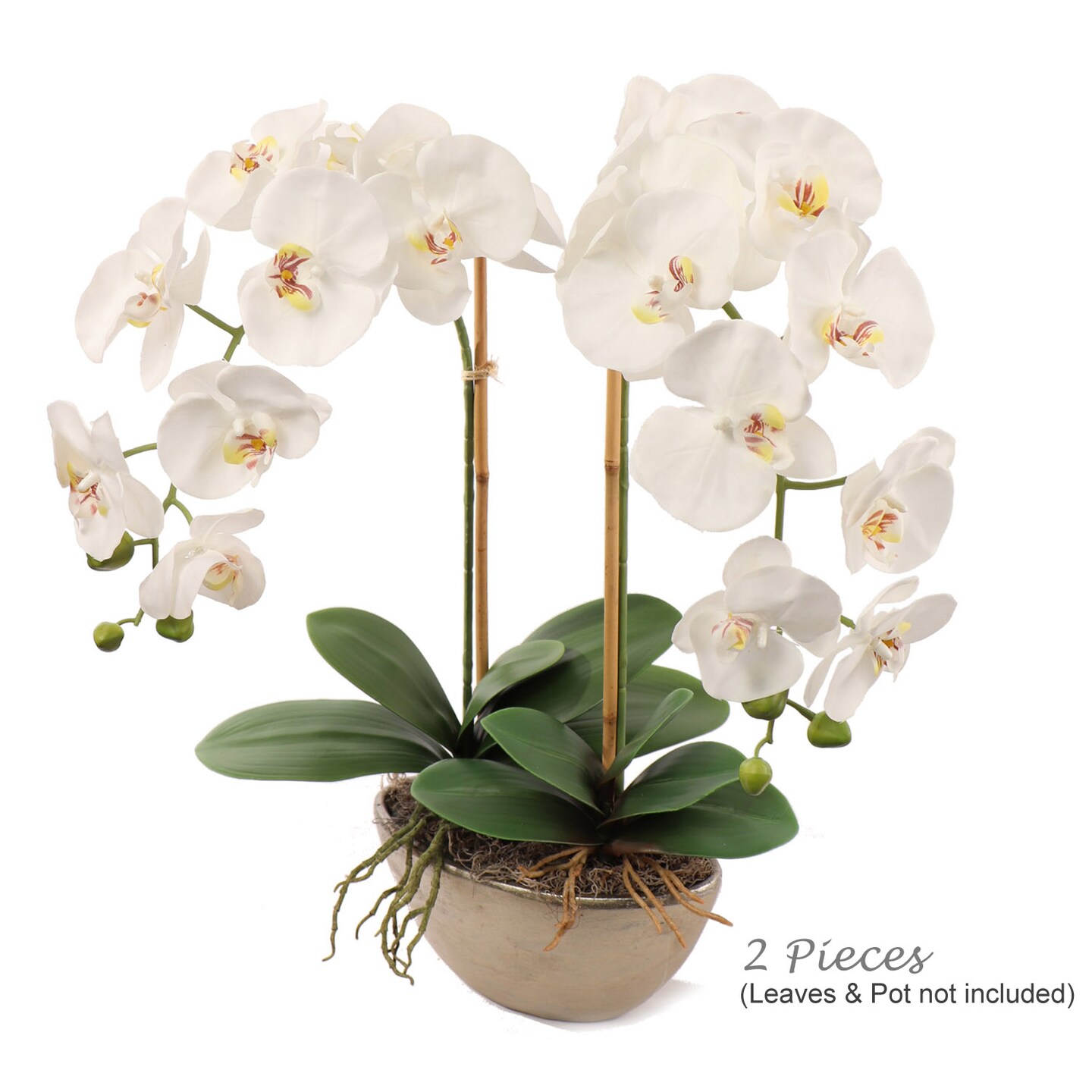 Set of 2: Artificial Phalaenopsis Orchid Stem with 9 Lifelike Silk Blooms, 33.5-Inch, White, Floral Stems, Winter & Spring, Parties & Events, Home & Office Decor
