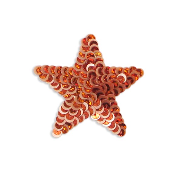 Star Starlight Sequin Applique/Patch