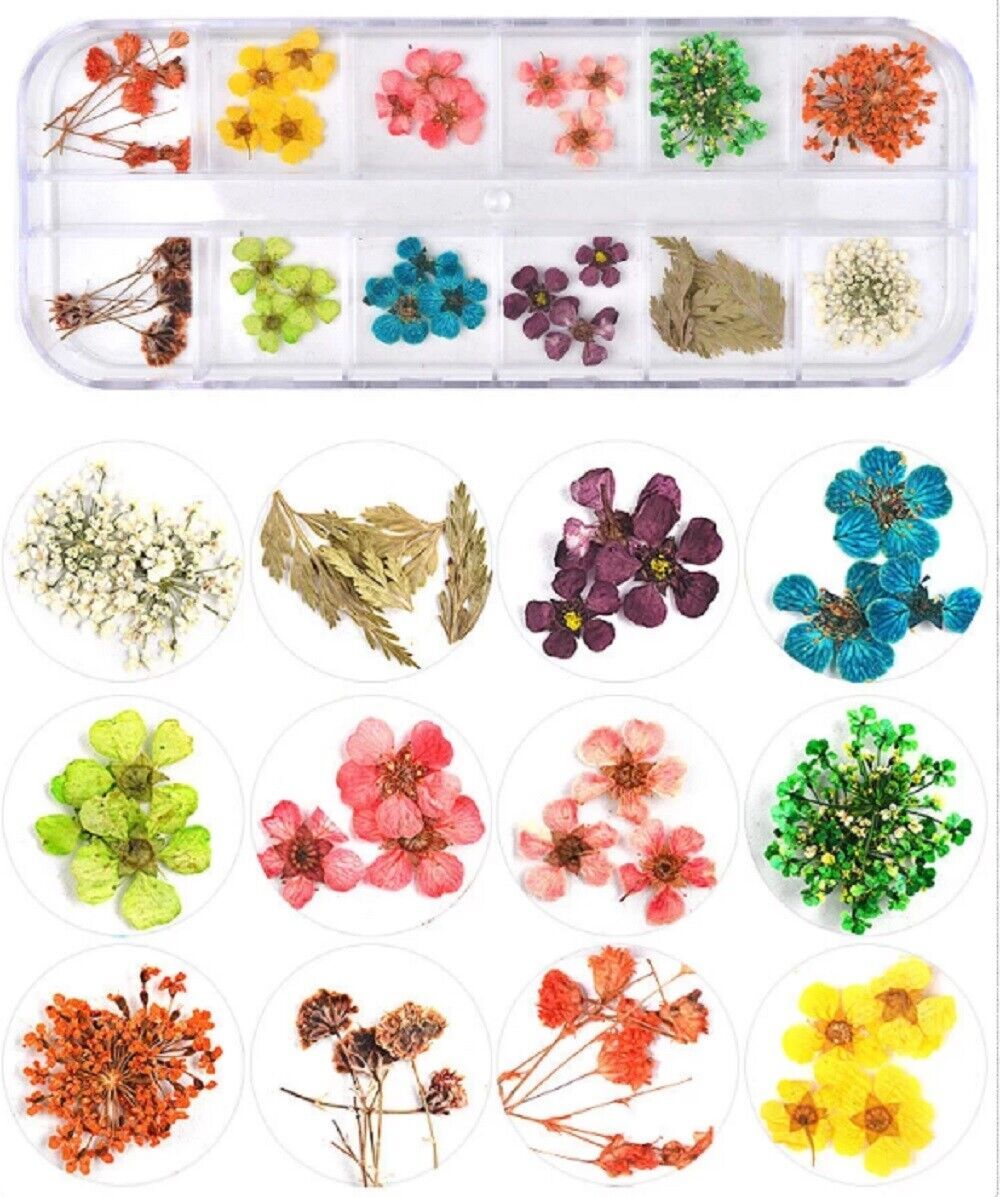 Kitcheniva 3D Real Dried Flowers Nail Art Decors DIY Tips