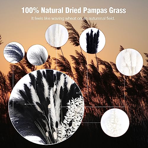 40PCS Black Pampas Grass Decor for Table Room Nature Dried Flowers