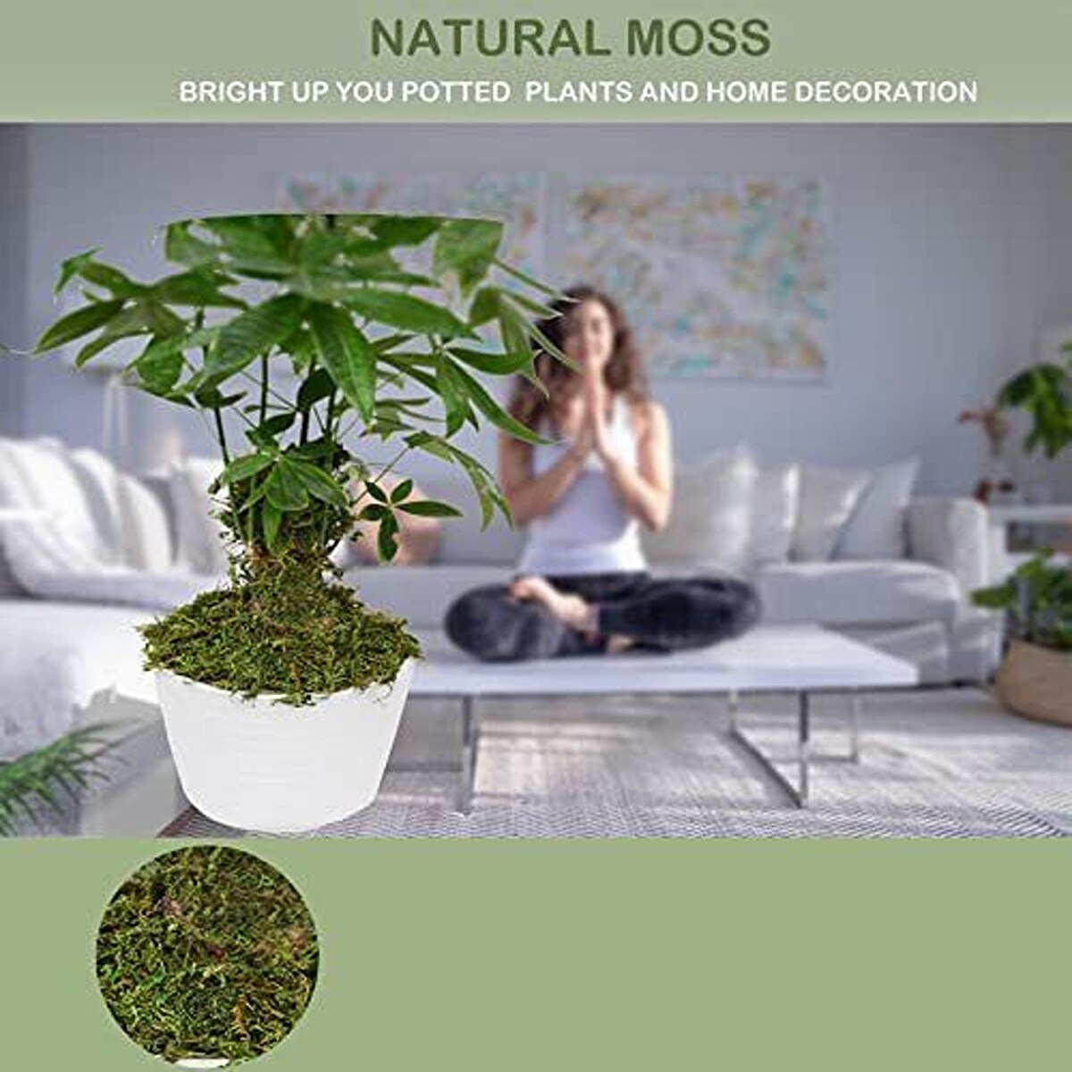 Artificial Greenery Moss for Home D&#xE9;cor