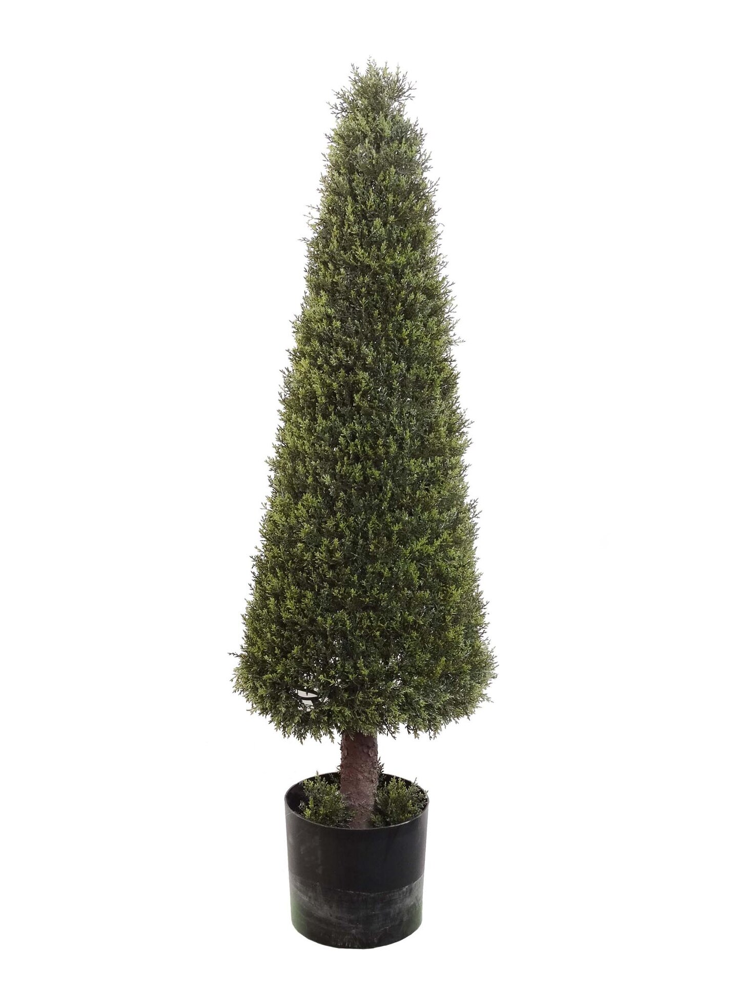 3 ft Cedar Cone Topiary Tree in Black Planter Pot by Floral Home&#xAE;