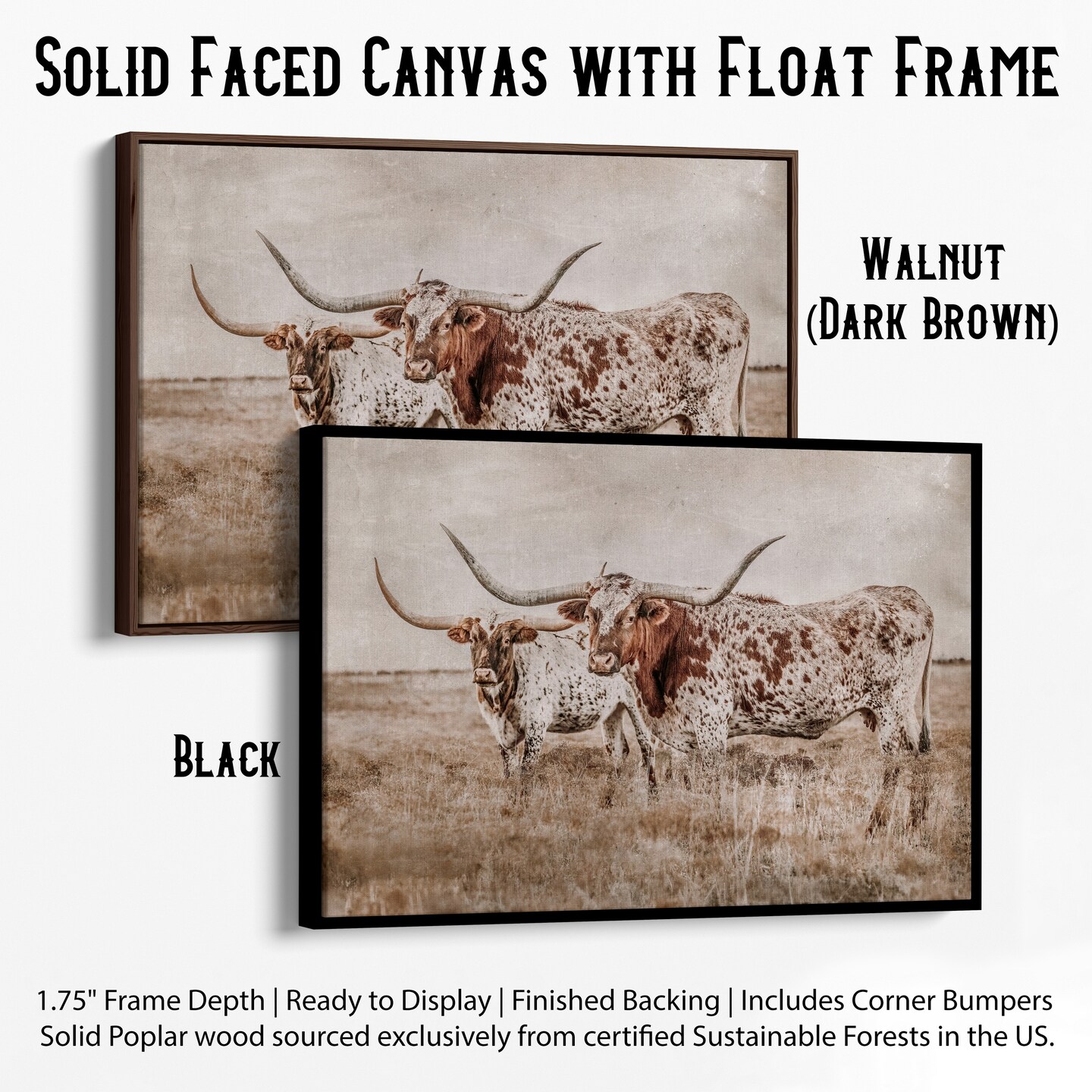 Longhorn wall art, large canvas print, western home decor, Texas ...