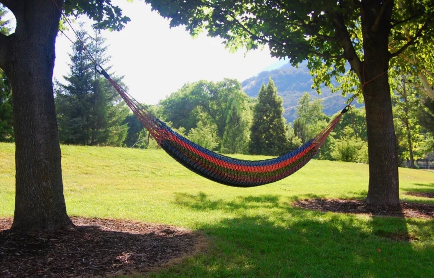 Paracord - Hammock “space net or tree net” image 1