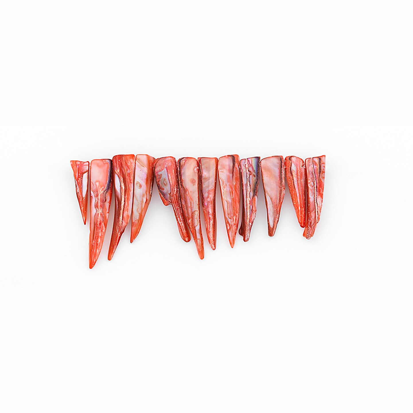 Sea Shell Spike Beads Hand Crafted Tinted Rust PK/12