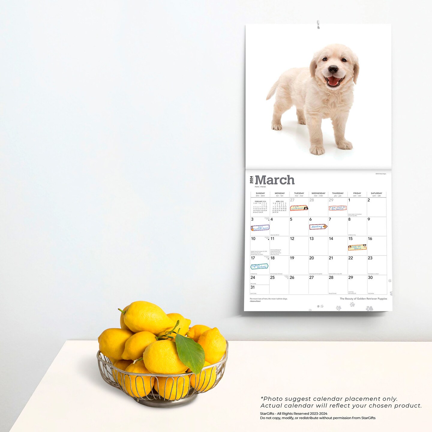 The Beauty of Golden Retriever Puppies | 2024 12 x 24 Inch Monthly Square Wall Calendar | Sticker Sheet | StarGifts | Animals Dog Breeds Puppy