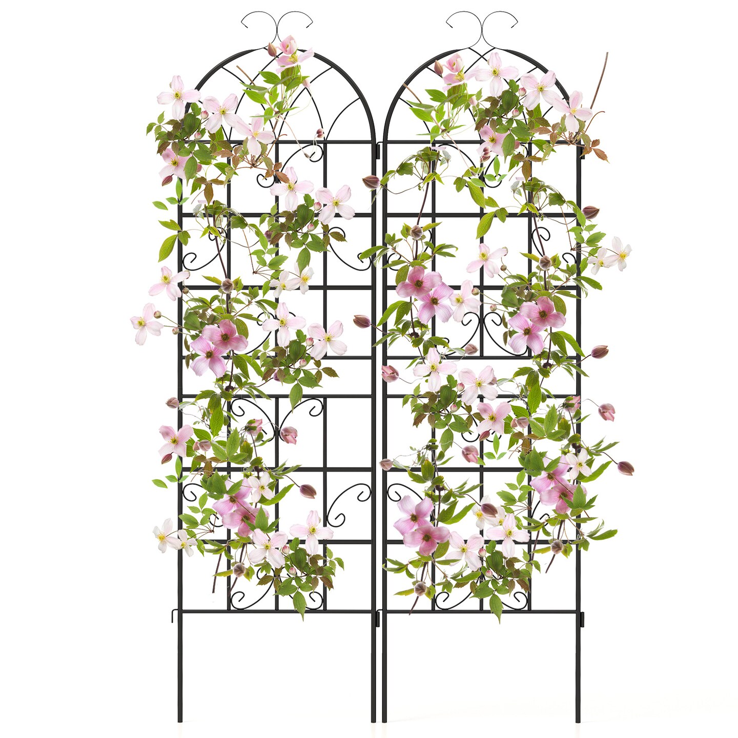 71 X 20 Inch Metal Garden Trellis For Climbing Plants-Set of 2