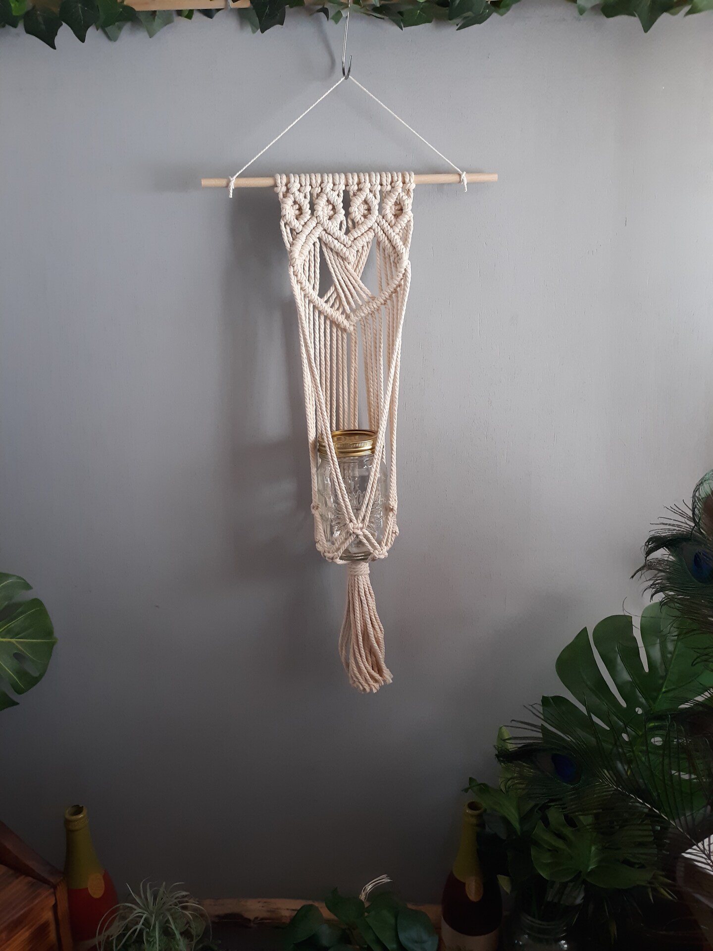 yucca indoor plant Yucca Plant Single Stem