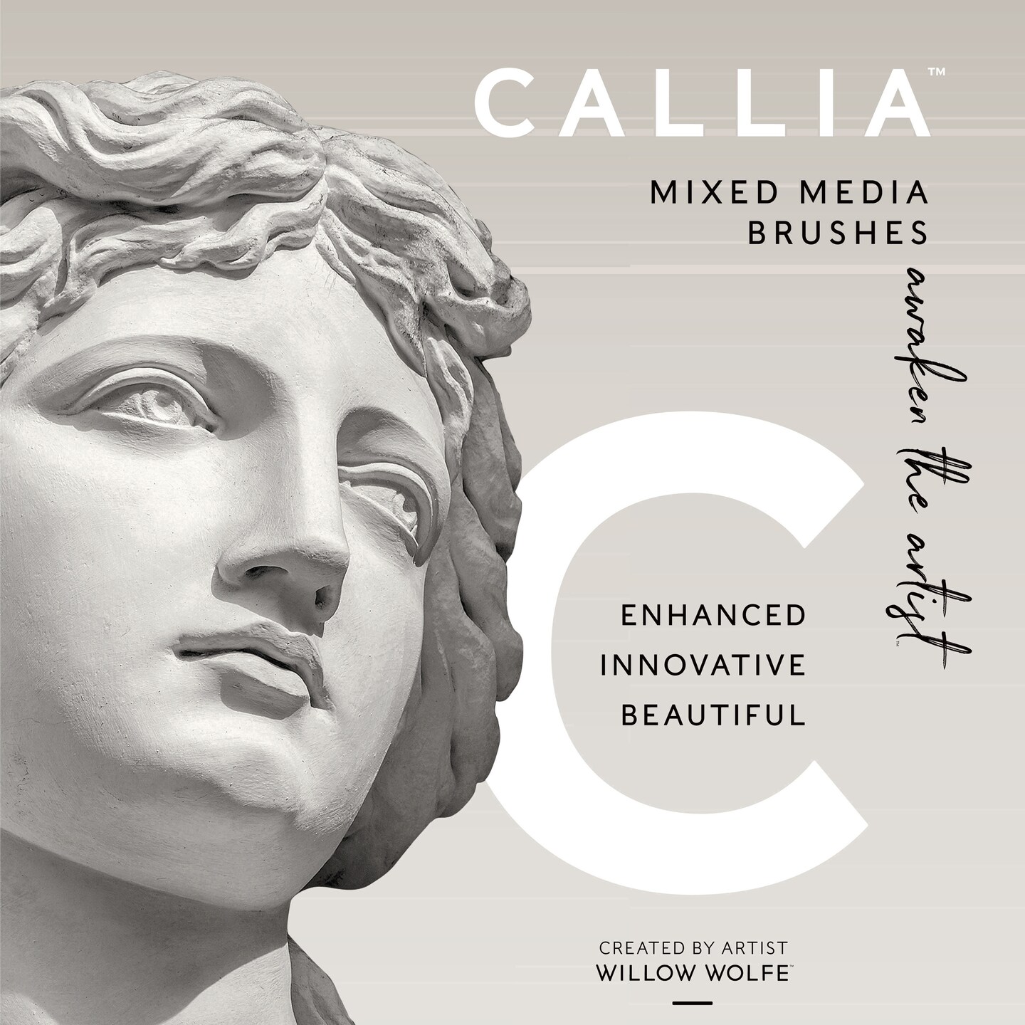 Willow Wolfe Callia Artist All Media Details Brush Set-Assorted