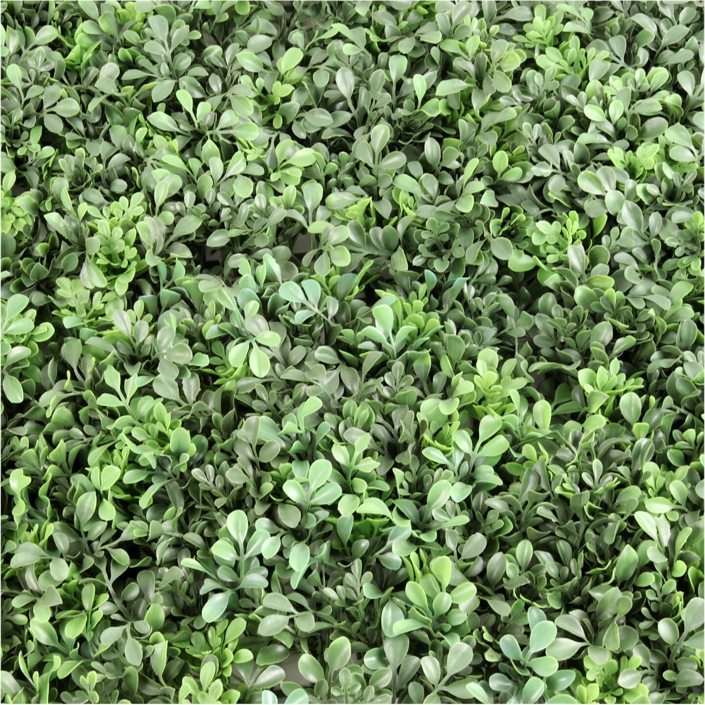 Green Boxwood Square Mat Panels - 12-Pack, Lifelike Foliage, Perfect for Wall D&#xE9;cor, Backdrops &#x26; Event Displays - Ideal for All Seasons, Floral Home by Artificial Flowers