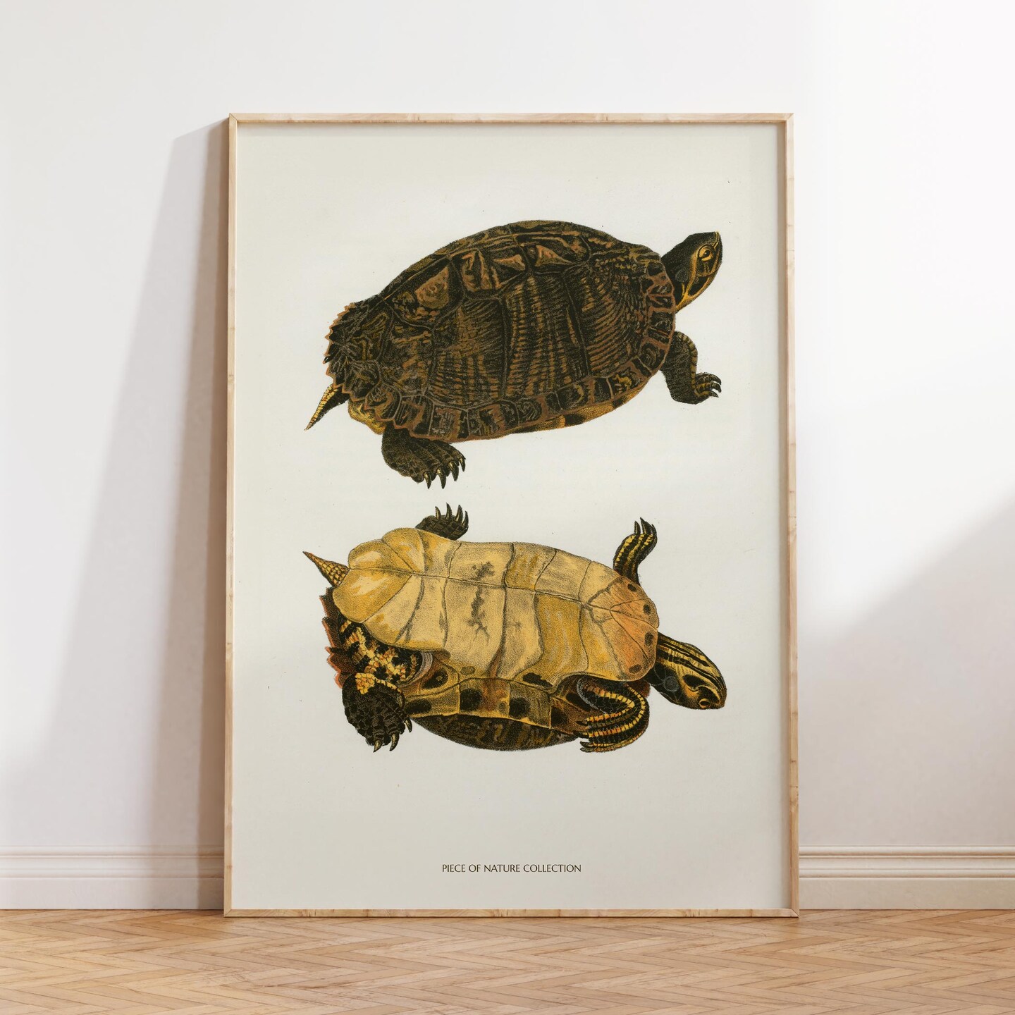 Sea Turtle Print Vintage Turtle Poster Art Coastal Wall Art Sea Turtle ...