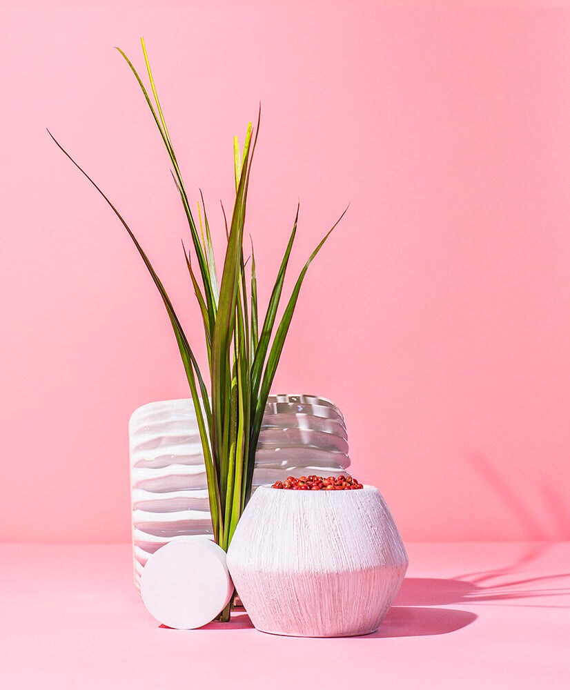 Pink Pepper Vetiver Fragrance Oil for Candles, Soap, Skincare