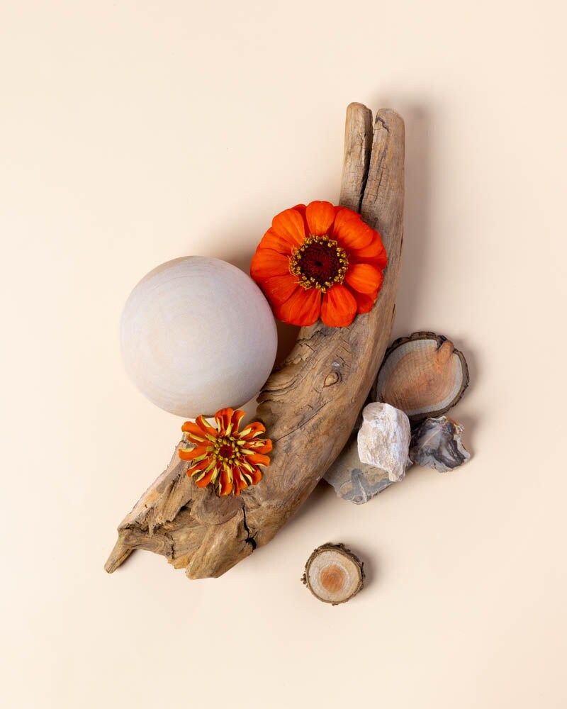 Cream Woods &#x26; Sweet Musk | Fragrance Oil for Candles, Soap