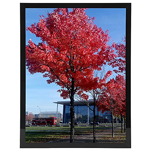 10x12 Picture Frame Black 10 by 12 Inch Black Picture Poster Frame Display Certificate/Photo 10x12 for Wall Mount Frames