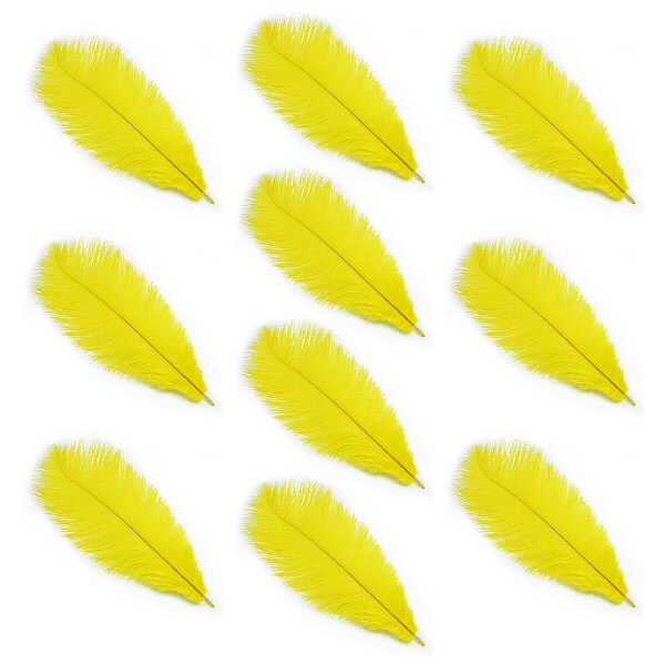 10 pieces Costume Grade Natural Ostrich Feathers