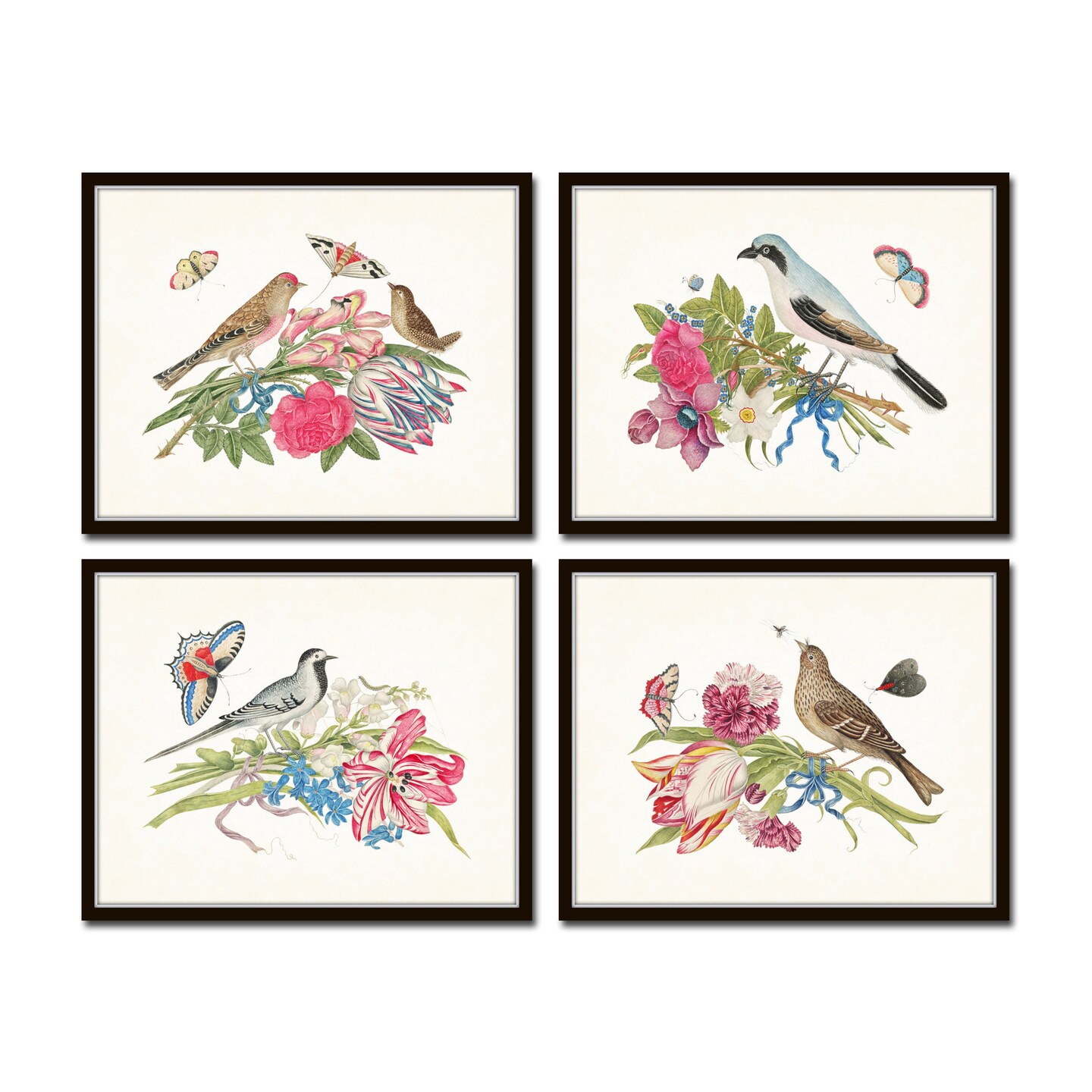 Vintage Bird and Botanical Print Set No.2, Giclee, Art Print, Botanical Prints, Wall Art, Mark Catesby, French deals Style, Collage, Bird Prints