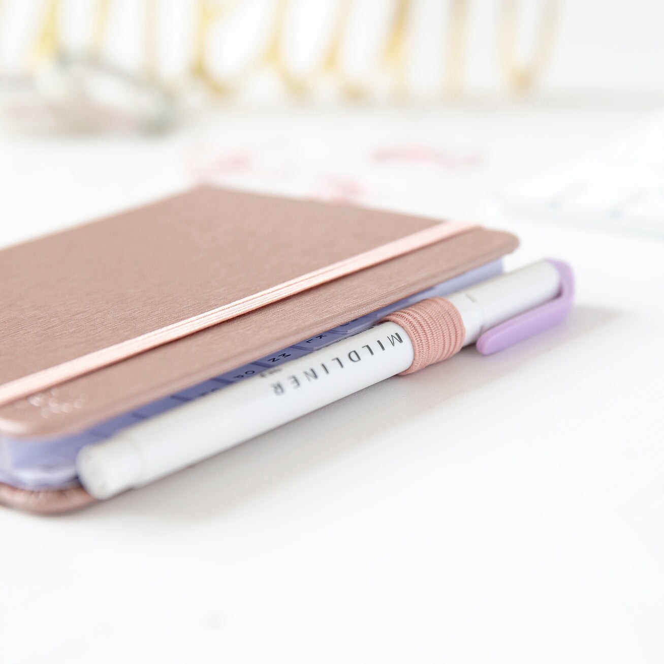 Password Logbook, Rose Gold