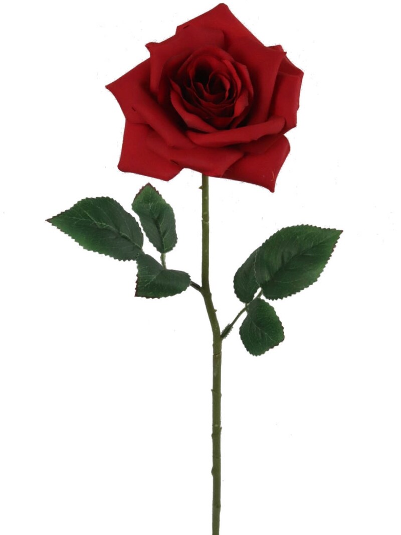 Red Open Rose Stem with Realistic Green Silk Foliage 20Inch