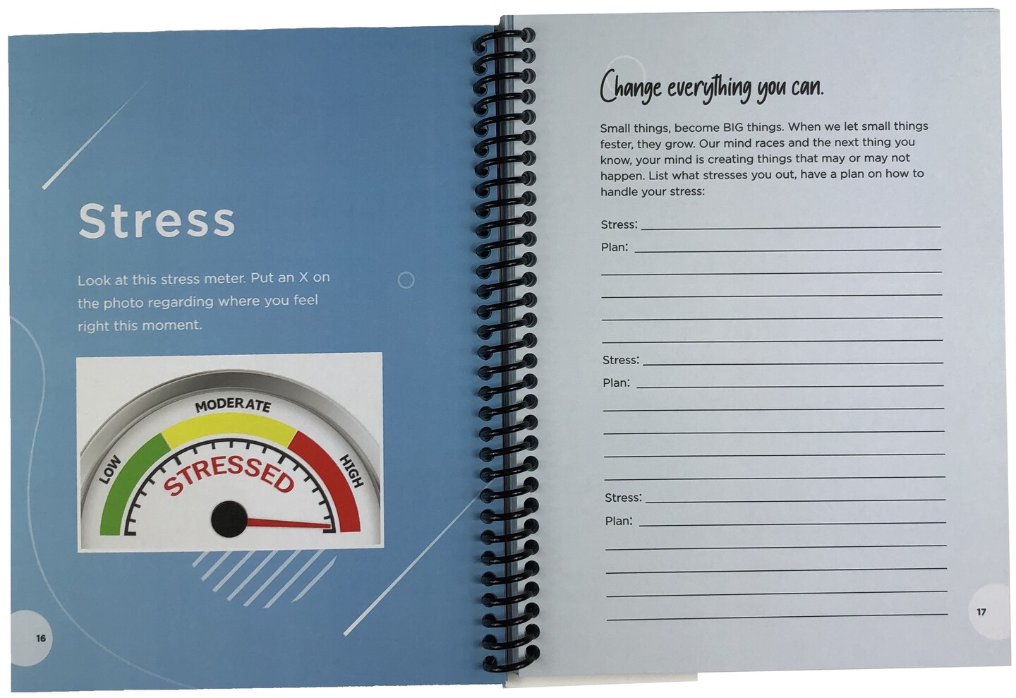 Focusing on Your Journey: A Guided Anxiety Journal for Young Adults