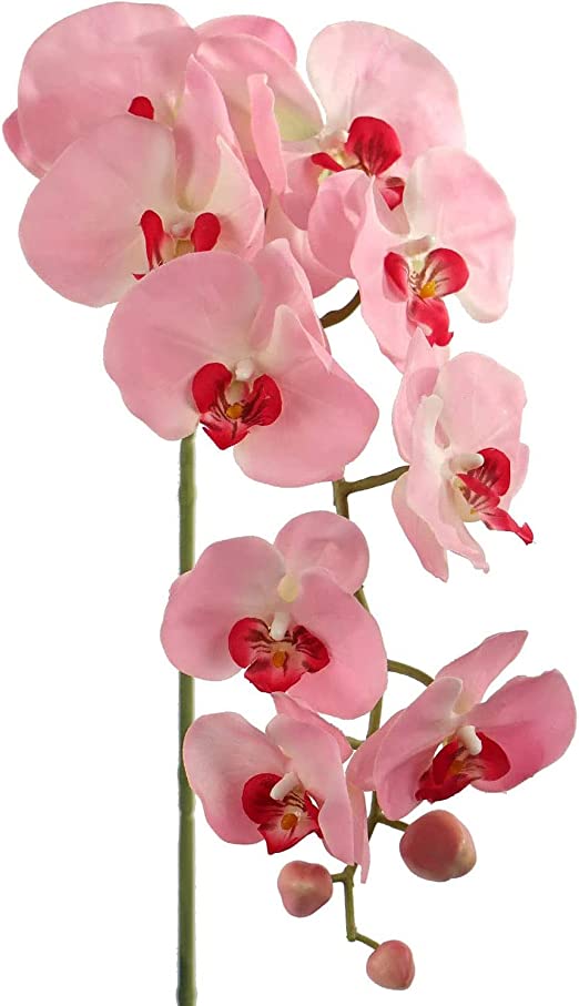 12-Pack: Real Touch Pink Phalaenopsis Orchid Stem, 33.5-Inch, 9 Realistic Silk Flowers &#x26; 2 Buds, Fake Orchids, Vase Fillers by Floral Home&#xAE;