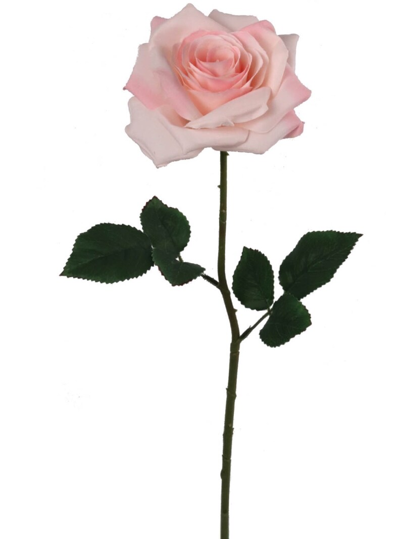 24-Pack: Light Pink Open Rose Stem with Silk Foliage by Floral Home&#xAE;