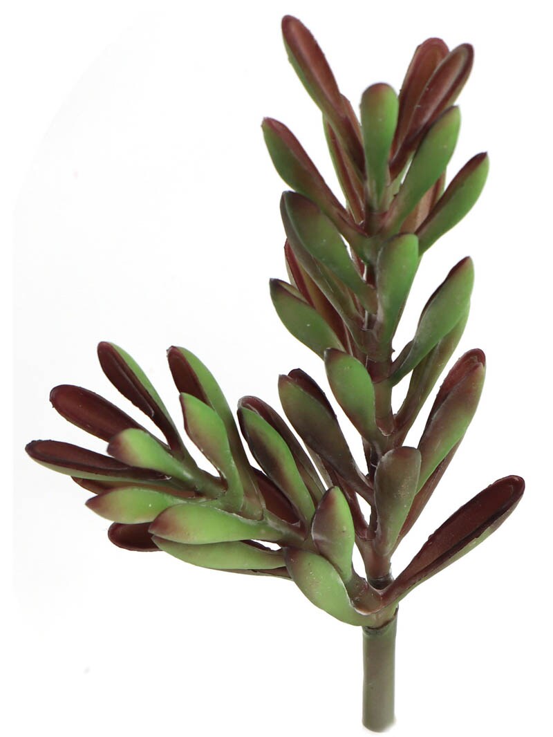 Echeveria Succulent Plant - 24-Pack, Realistic Faux Greenery, Low-Maintenance D&#xE9;cor, Ideal for Home, Office, &#x26; Event Use - Perfect for All Seasons, Floral Home by Artificial Flowers