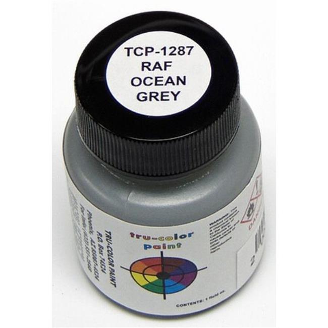 Tru-Color Paint TCP1287 Paint, RAF Ocean Gray | Michaels